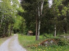 Am Alfenzweg entlang zur Grillstelle | Wald am Arlberg